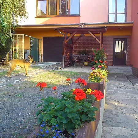 Apartments Ceske Stredohori Teplice Kamer foto