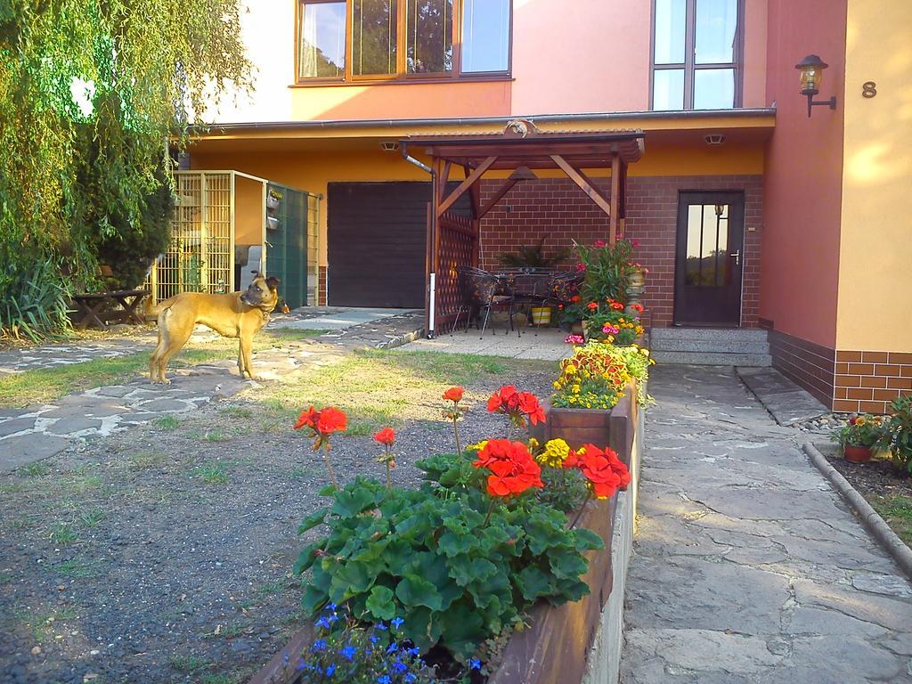 Apartments Ceske Stredohori Teplice Kamer foto